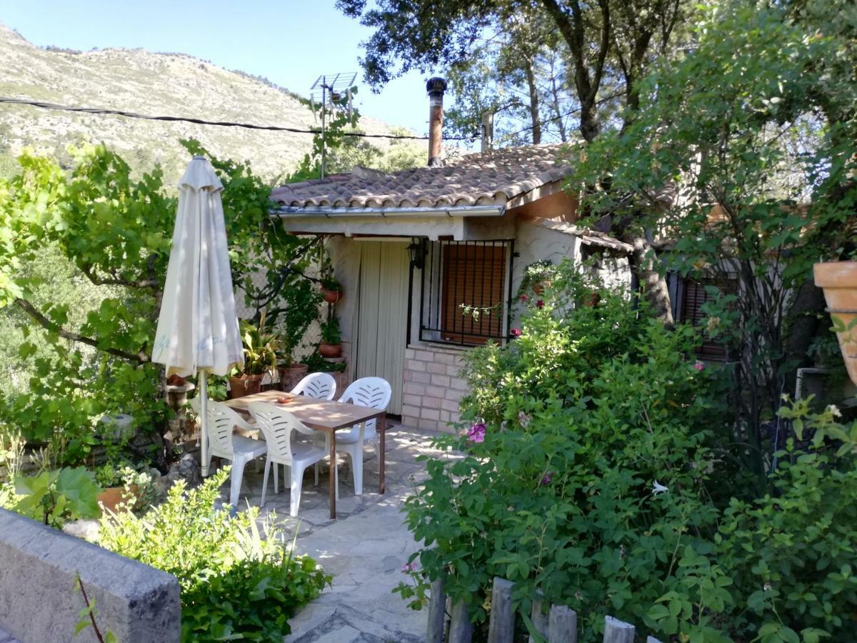 Alojamientos Rurales Vado Ancho La Encina Arroyo Frio Exterior foto